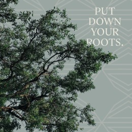 Instagram post from @canopyrentalhomes on December 12, 2024 00:00:00am