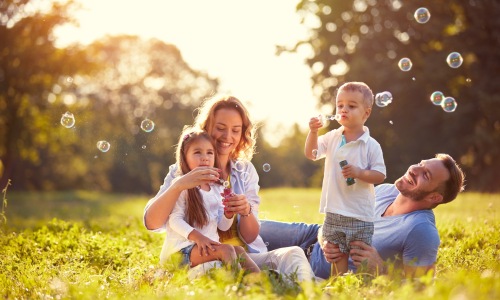 a family in a green field at sunset