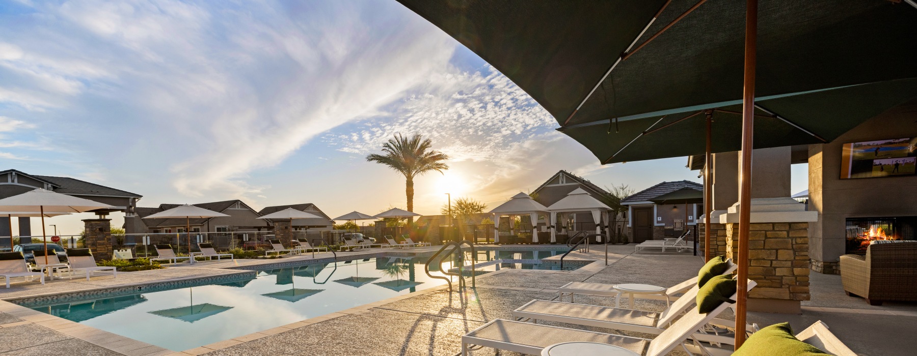 pool with palm trees next to it