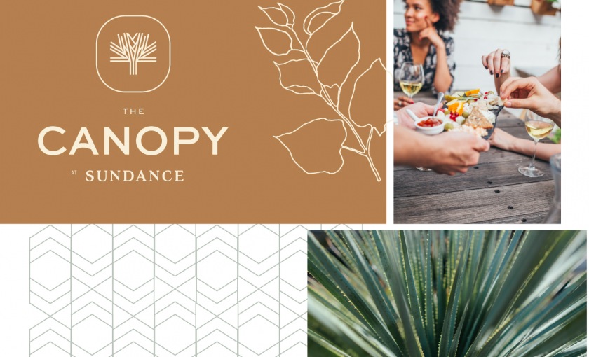 Canopy logo, a picture of a girl, a picture of a cacti.