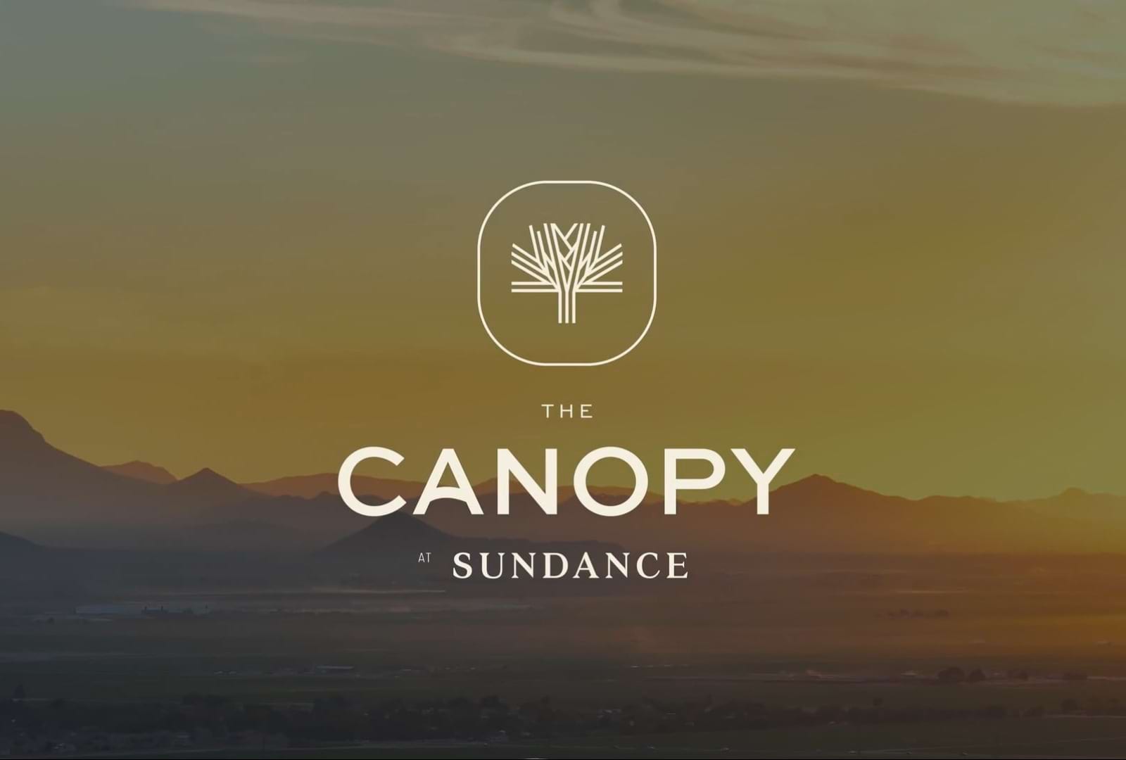 The Canopy at Sundance